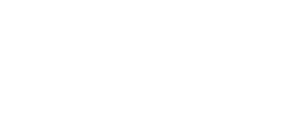 Zota AI